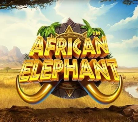 African Elephant: Unleash Majestic Wins, Enter the Wilds of Epic Riches