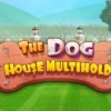 The Dog House Multihold: Unleash Ultimate Riches, Experience the Thrill of Unending Wins Copy