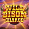 Wild Bison Charge: Unleash the Fury, Dominate the Plains for Epic Wins Copy